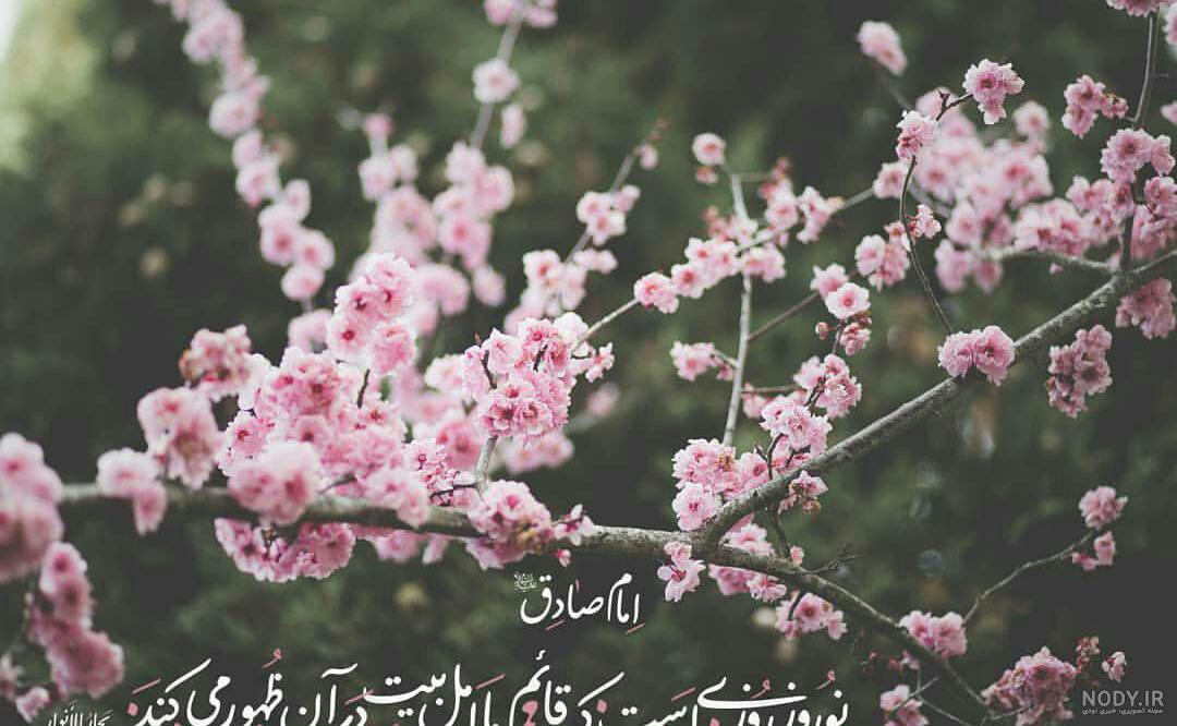 امام