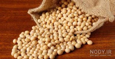 طرز تهيه