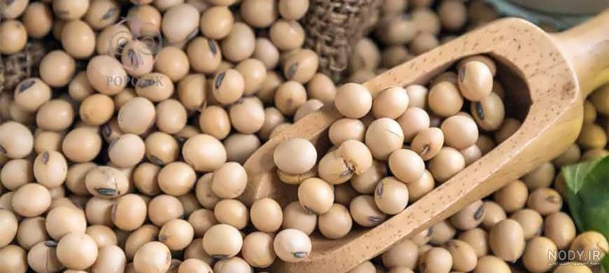 خواص گیاه سویا چیست