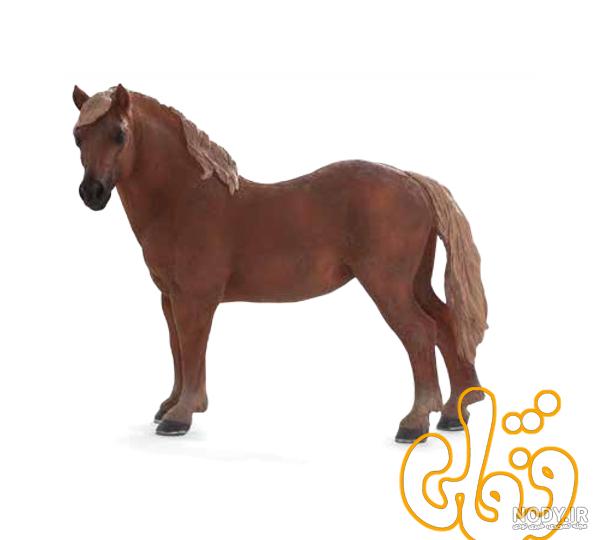 شاخ كارتوني شاخ كارتوني