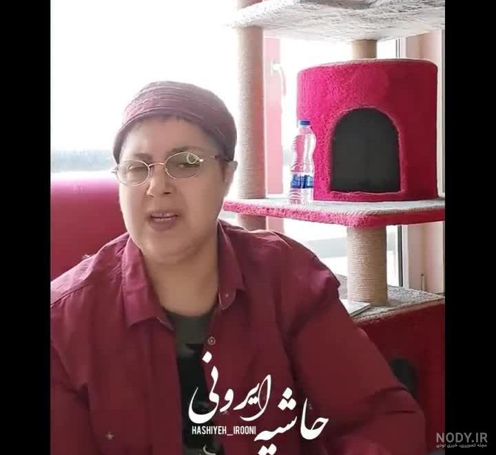 حیوان