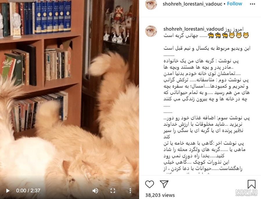 شهره سلطانی