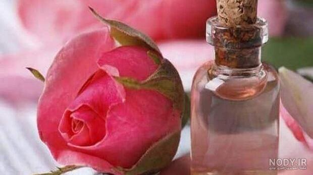 عطرها
