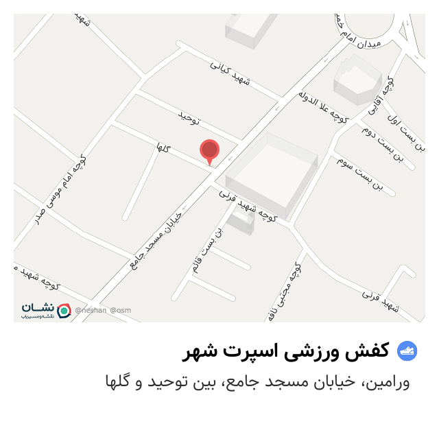 كفش مخصوص
