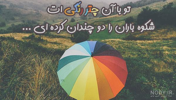 مورد چتر مورد چتر