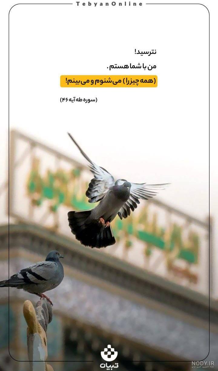 زیبا