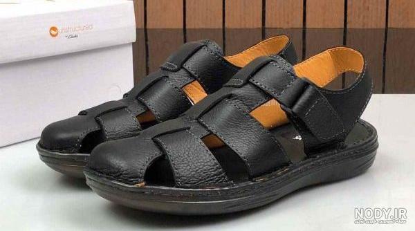 jack wolfskin