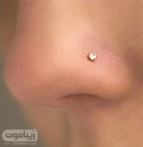 modern nose pin design
