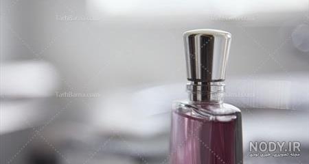 رایحه