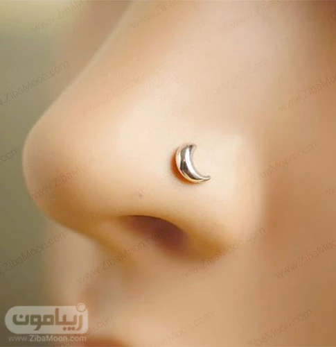 نگين بيني