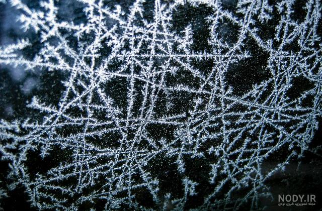 ice nature ice nature