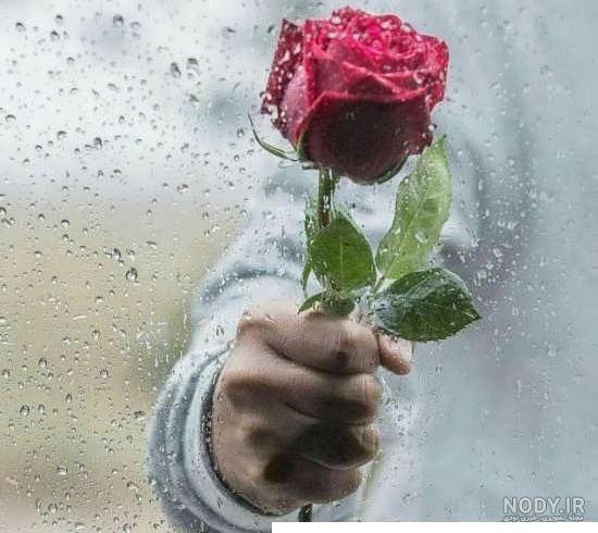 عکس پسرانه گل