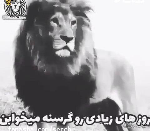 پروف پروف