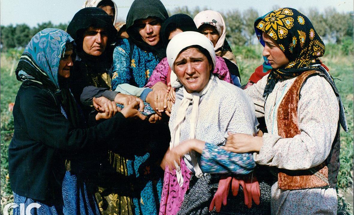 کارگردان
