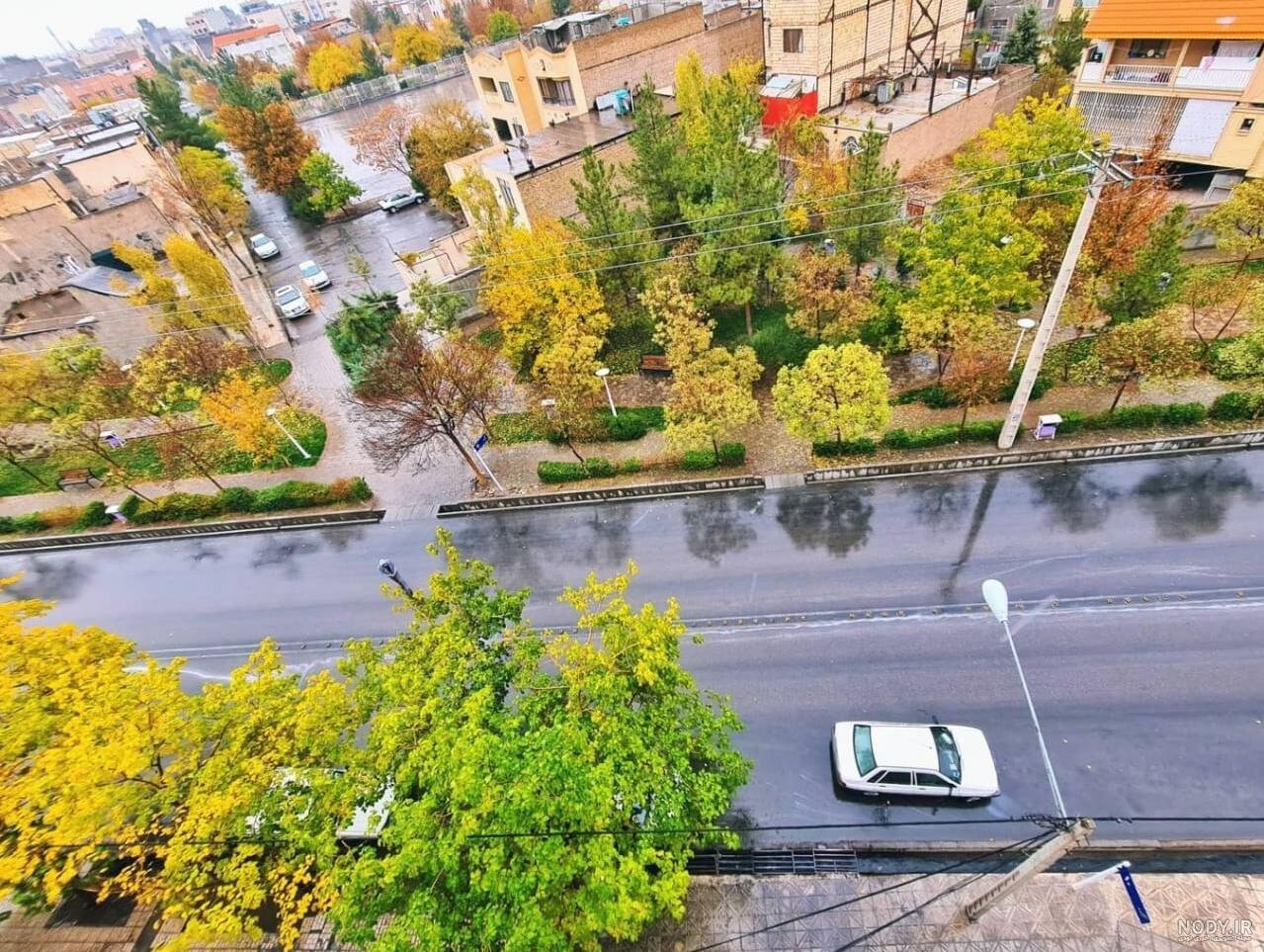 عکس باران در مشهد