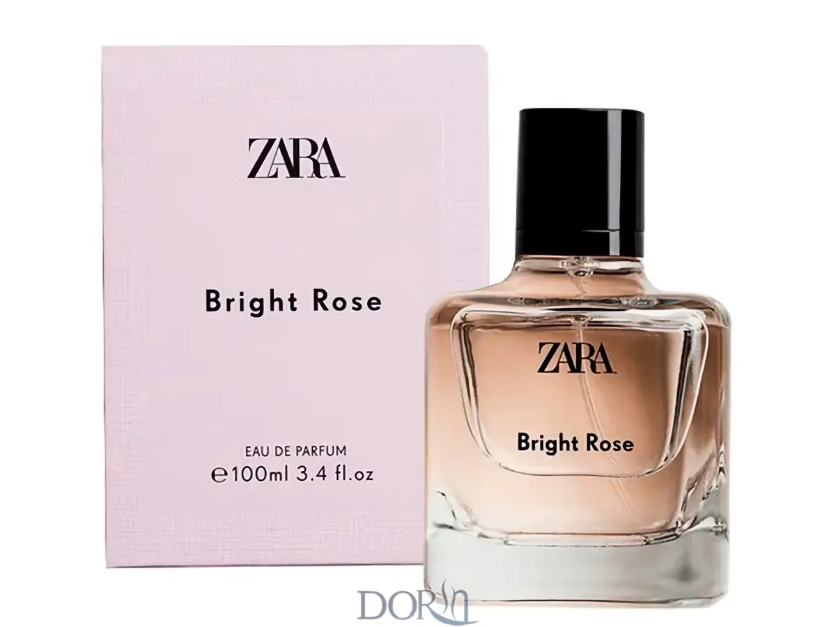 zara orchid zara orchid
