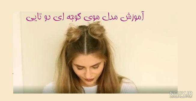 خرگوشي گوجه