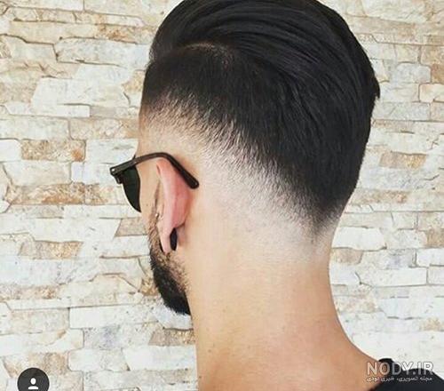 موي كوتاة