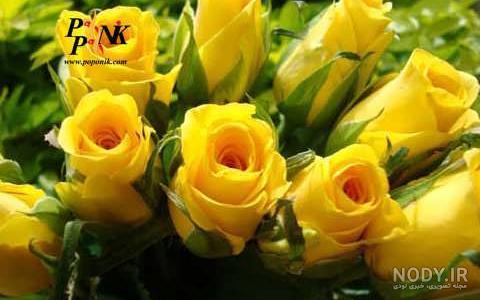 رزهای