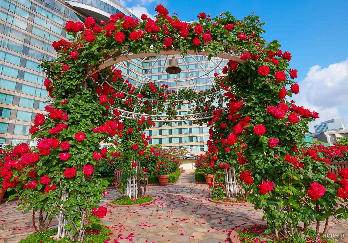 رونده قرمز