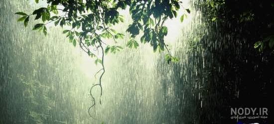 تصاویر زیبای بارانی