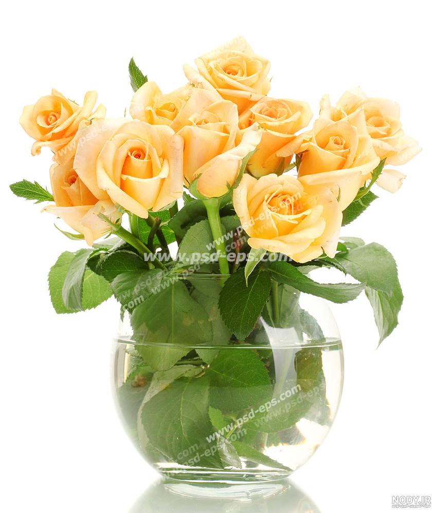 عکس گل رز در گلدان شیشه ای