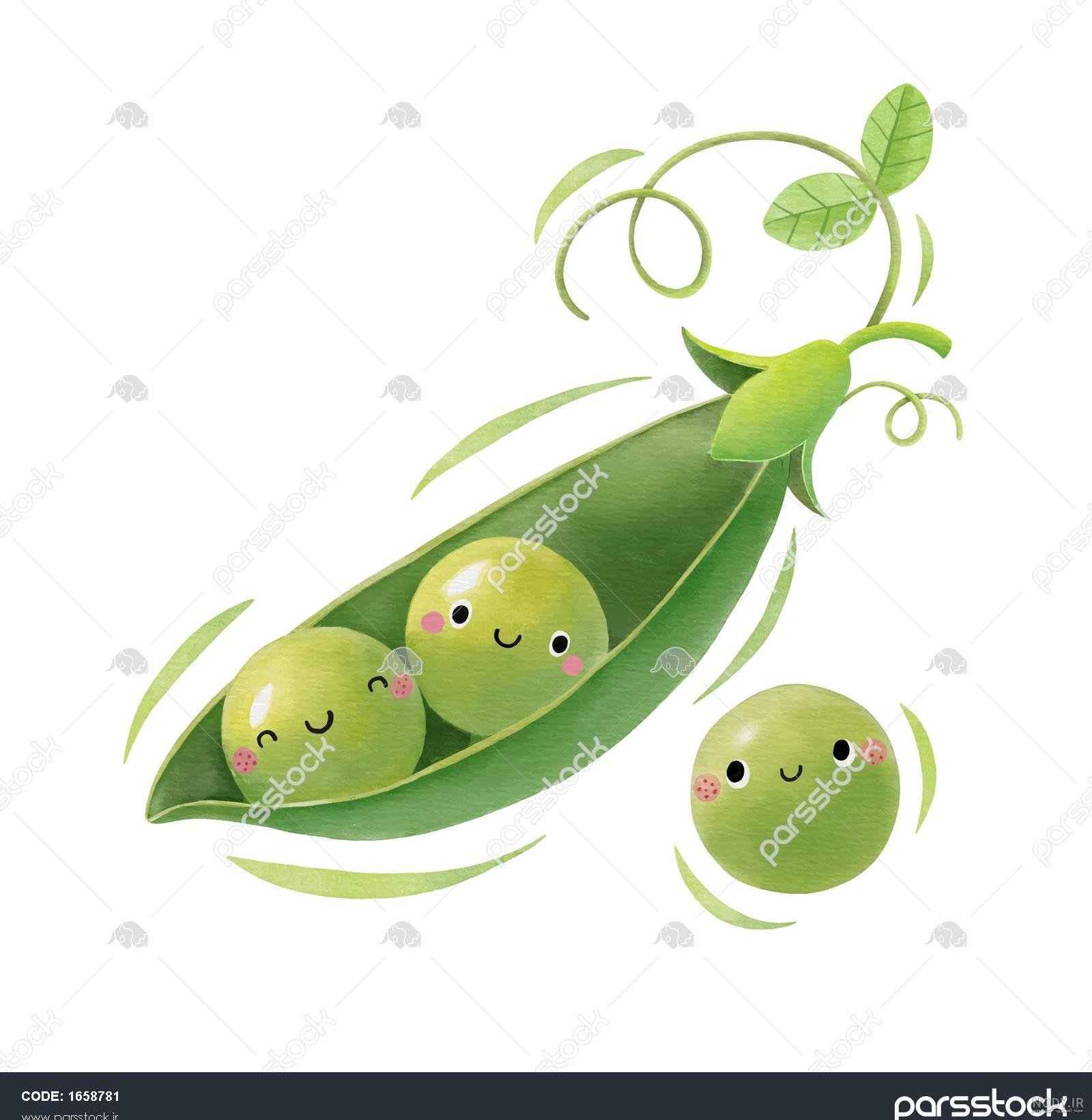 عکس نخود کارتونی