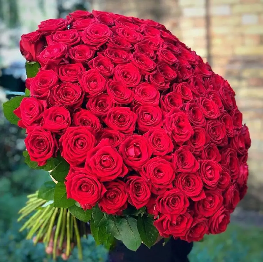 عکسهای گل زیبا برای پروفایل