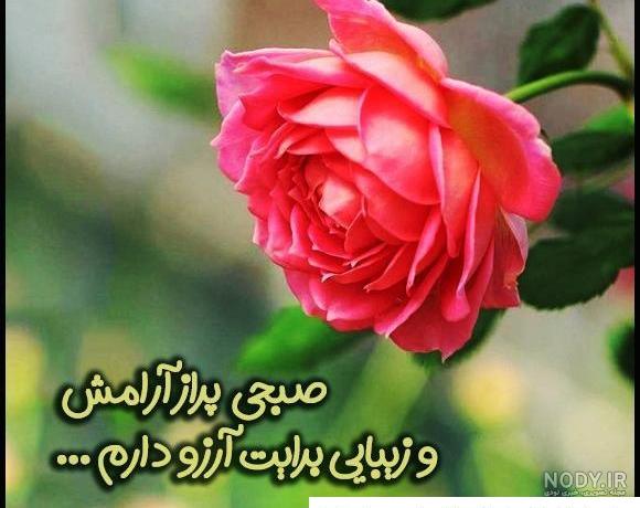 عربی عربی