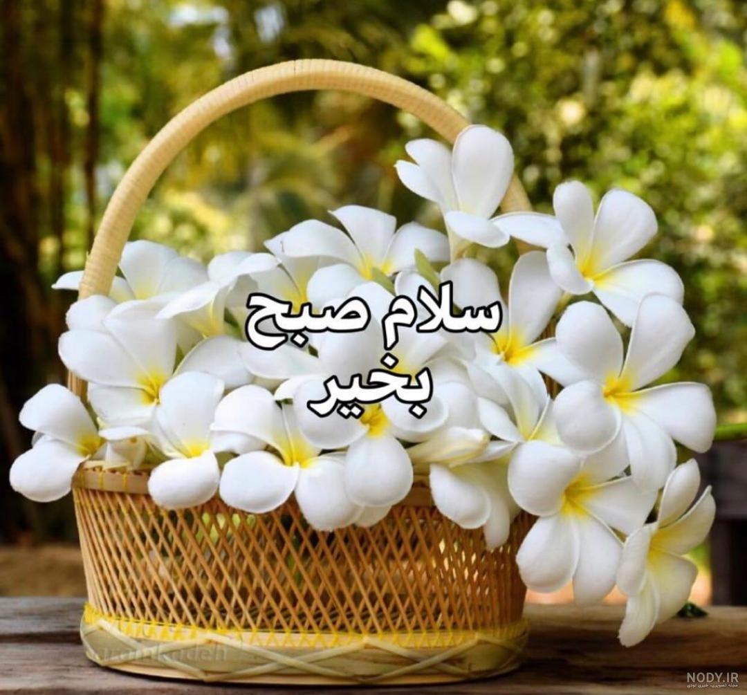 عشقم عشقم