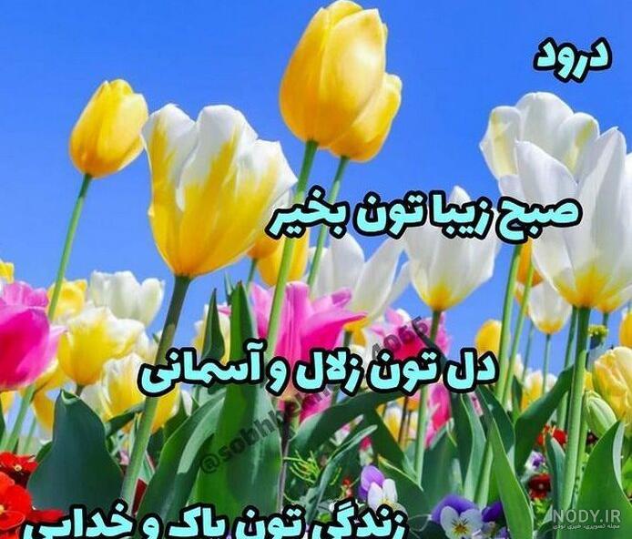 عکسهای صبح بخیر جدید عکسهای صبح بخیر جدید