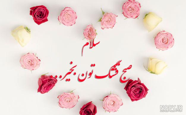 متن متن