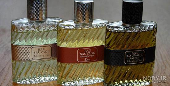 عطرهای تابستانی عطرهای تابستانی