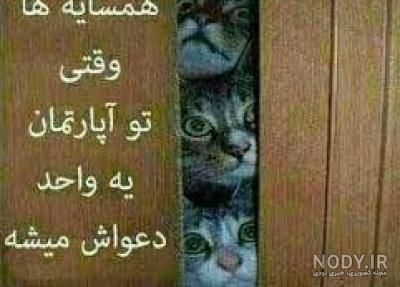 متن متن