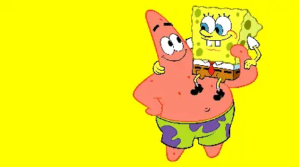 پروفایل پروفایل