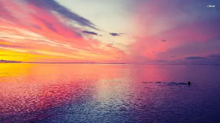 شال شال