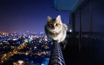 بك گراند بك گراند