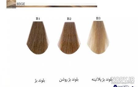 عکس رنگ بژ تیره