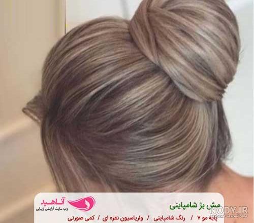 عکس رنگ بژ عروسکی