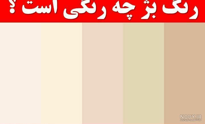 عکس رنگ بژ لباس
