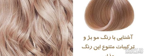 عکس رنگ بژ پارچه