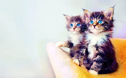 ملوس بامزه ملوس بامزه