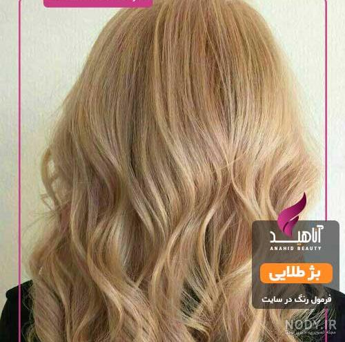 موي كنفي