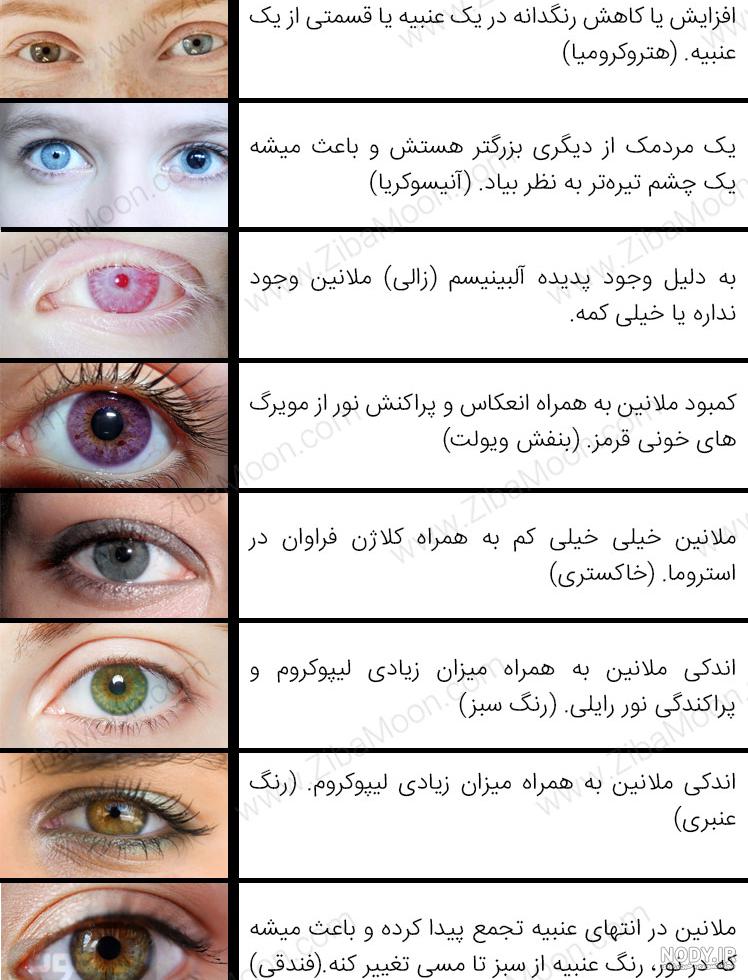 عکس رنگ چشم کهربایی