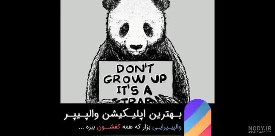 شآخ لاتي
