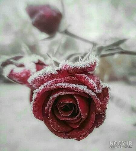 نوشته خوشگل