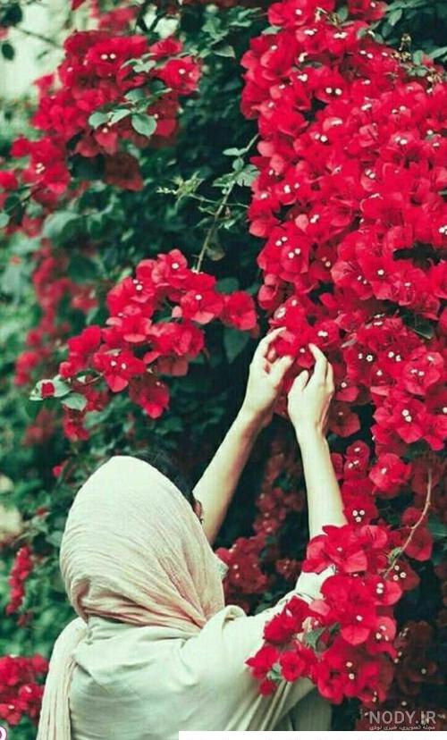 یک عکس زیبا برای عید قربان