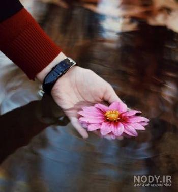 یک عکس زیبا برای پروفایل واتساپ