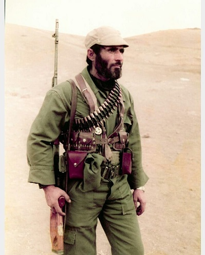 عبدالحسين زرين
