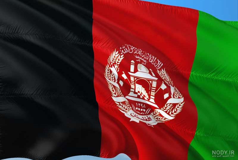 عکس شیر افغانستان